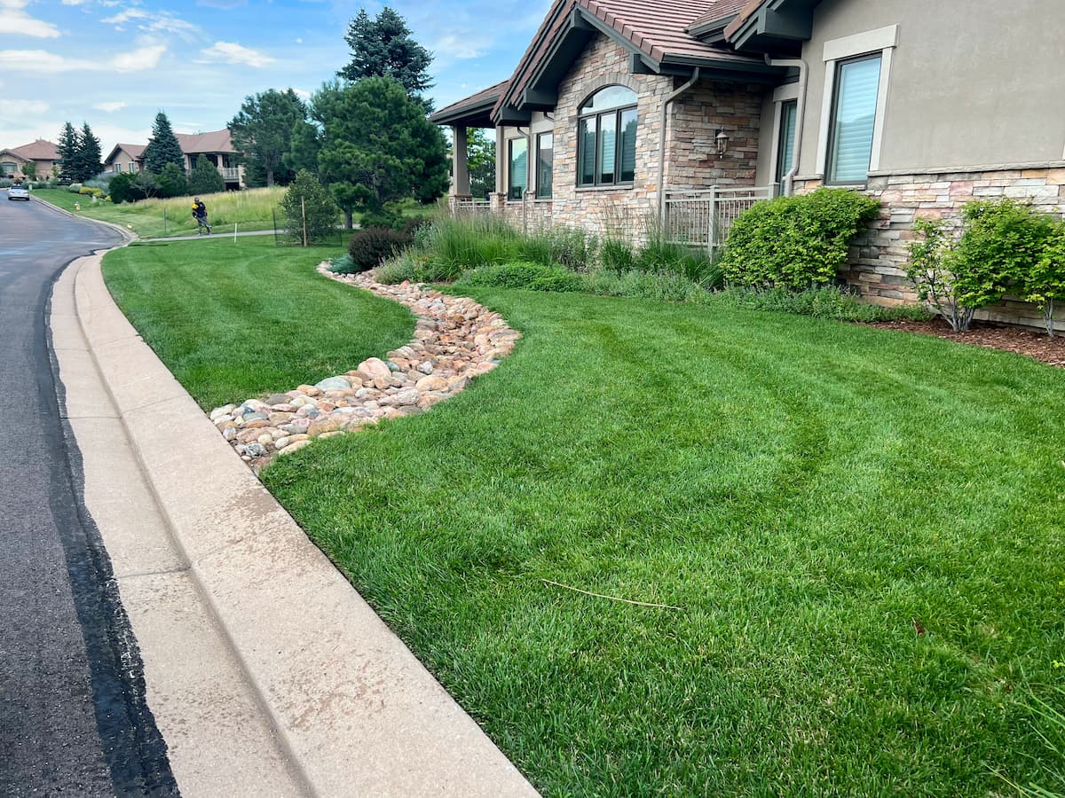 A well-maintained suburban lawn with green grass, shrubs, and a dry riverbed of rocks curving through the yard beside a stone-trimmed house. A sidewalk and road run along the left side.