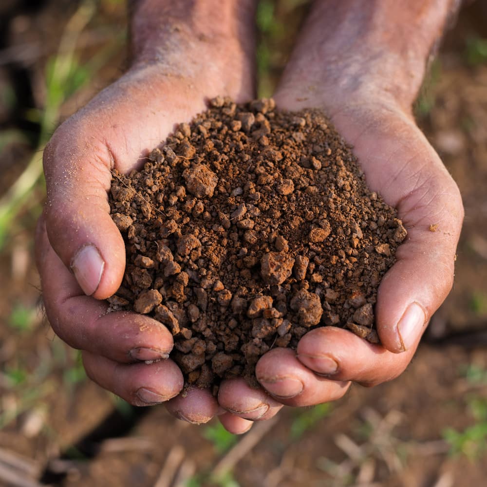 Close-up of two hands holding a pile of brown soil, with bits of rocks and earth visible. The background is blurred ground and grass, emphasizing the texture of the soil in the hands.