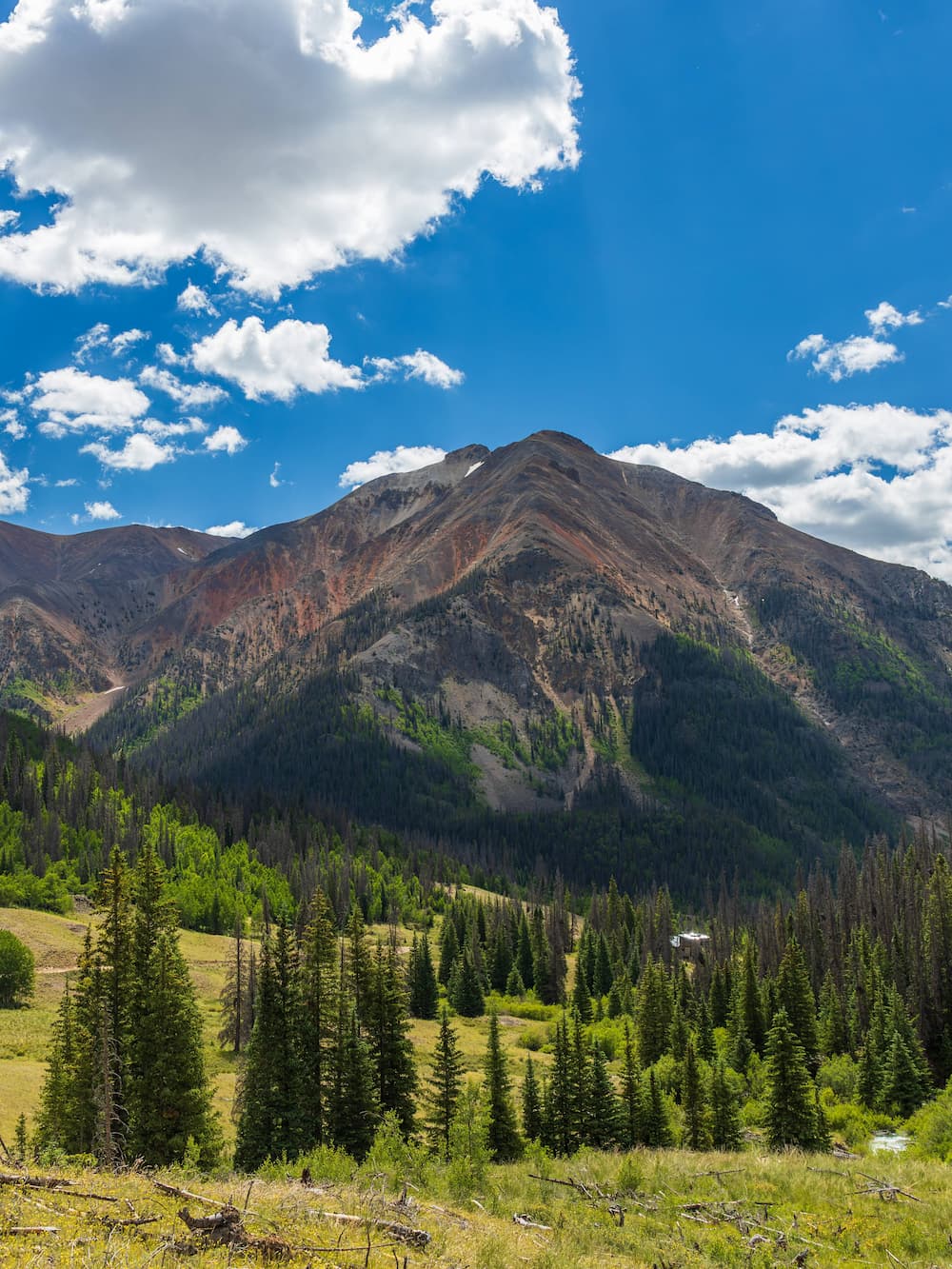 A scenic mountain landscape with a forested valley, green trees, grassy meadows, and a clear blue sky dotted with fluffy white clouds. Sunlight highlights the slopes and ridges of the mountain.